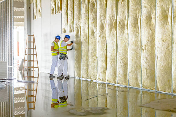 Best Insulation Installation Services in East Griffin, GA